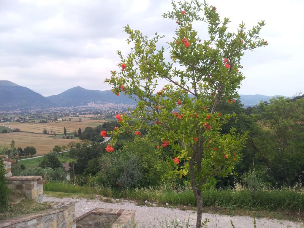 Fonte Chiara Villa Gubbio Rum bild